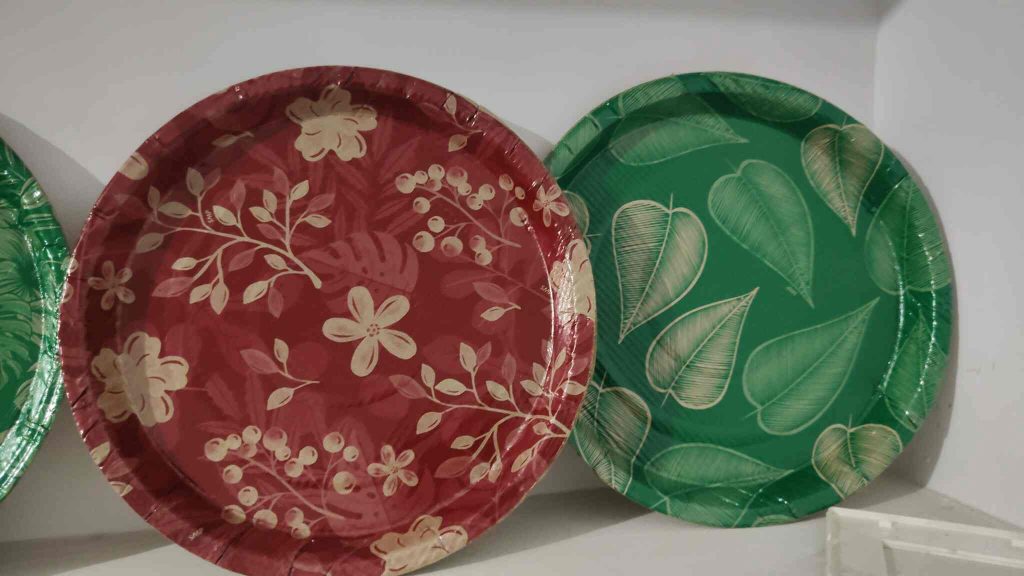 DIY and Bulk How Small Vendors Can Sell Paper Plates and Dona in India (1)
