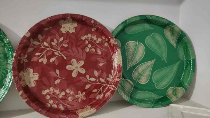 DIY and Bulk How Small Vendors Can Sell Paper Plates and Dona in India (1)