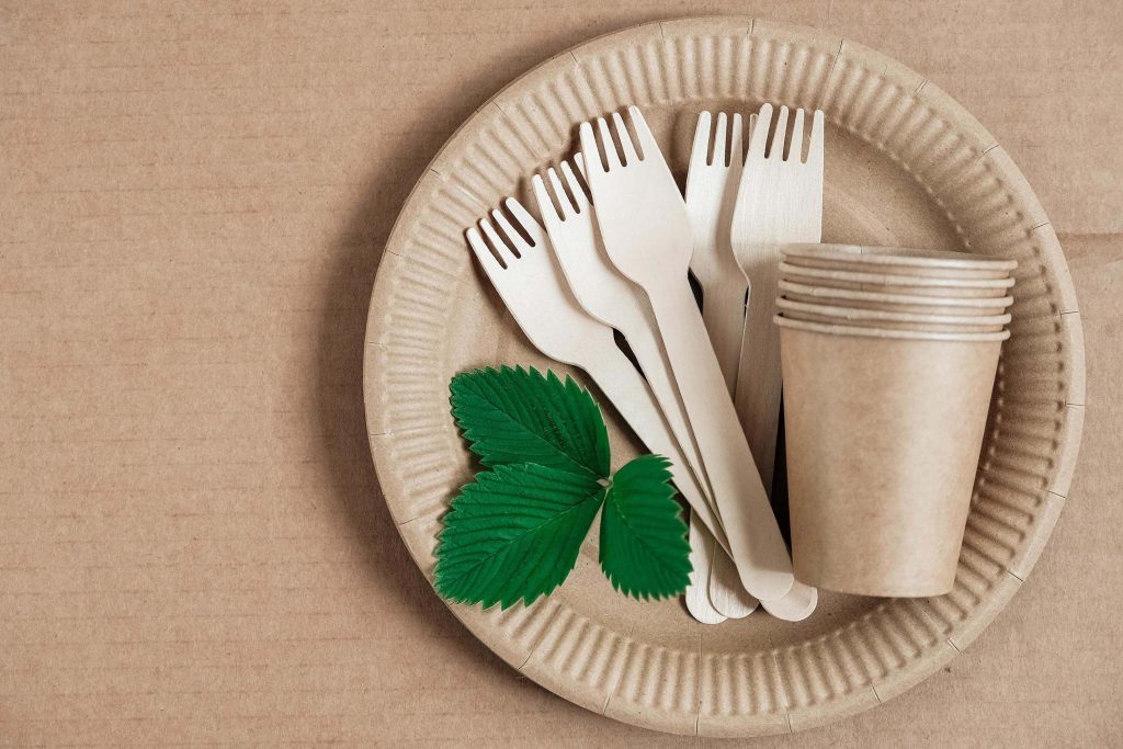 How to Start a Home-Based Disposable Paper Plate Business in Kharar and Mohali and chandigarh (1)