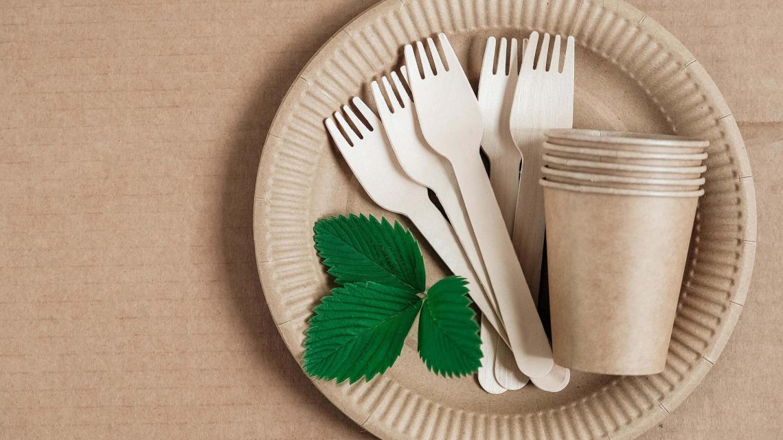 How to Start a Home-Based Disposable Paper Plate Business in Kharar and Mohali and chandigarh (1)