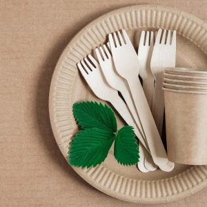 How to Start a Home-Based Disposable Paper Plate Business in Kharar and Mohali and chandigarh (1)